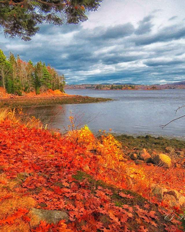 Fall colors