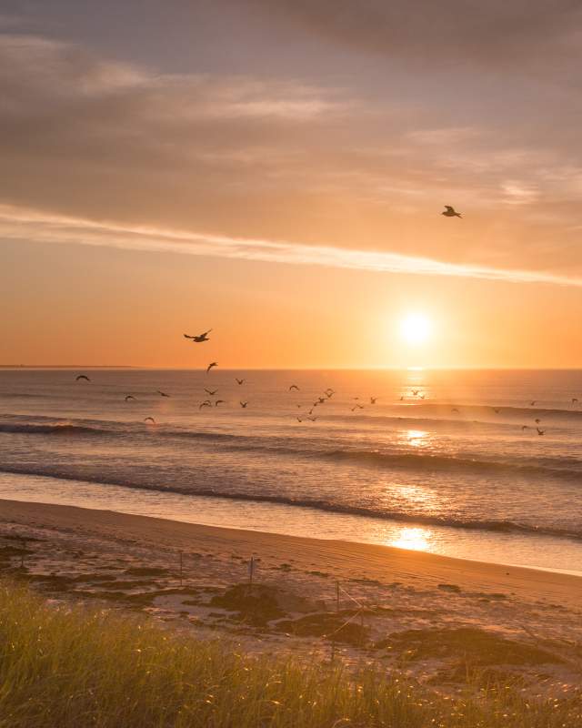 Beach dunes