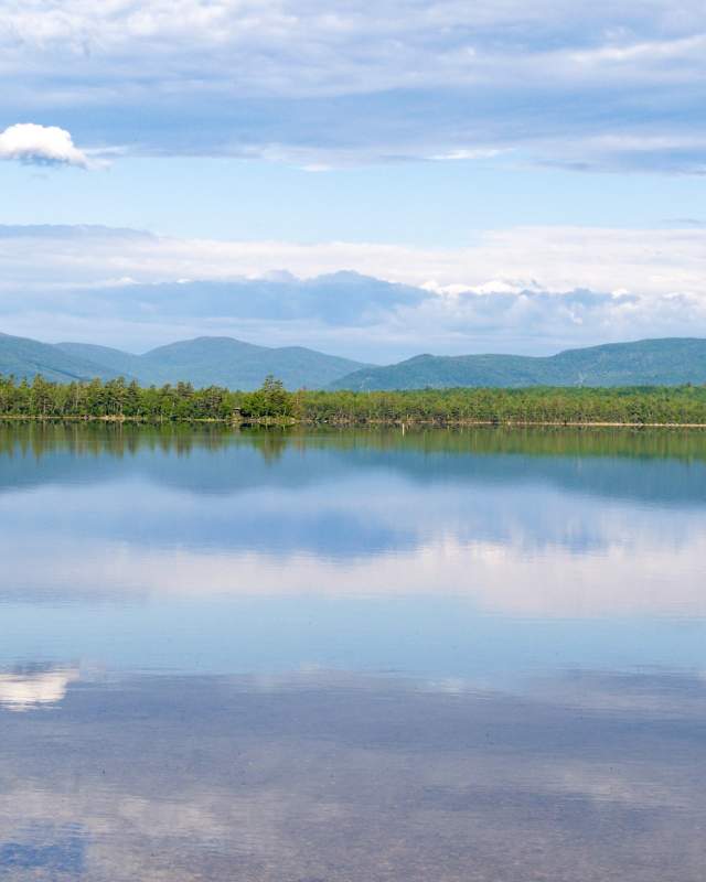 Ellis Pond