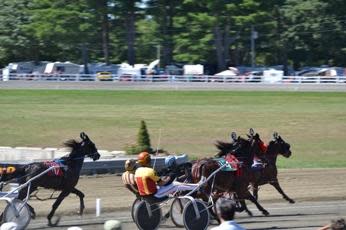 Horse racing