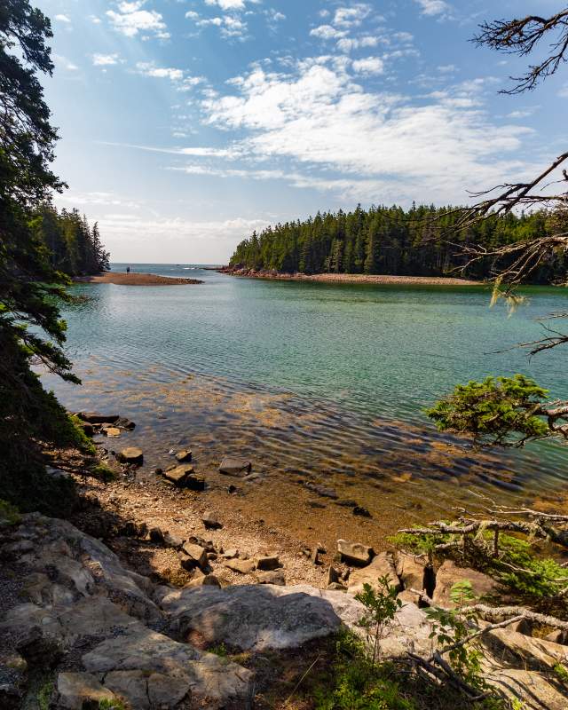 Clearing in woods that overlooks a blue body of water.