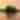MTA_JS-33.jpg