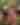 DTN - Header - Sandy Pines Campgrounds