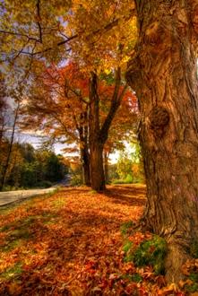 Windham Lakes