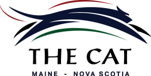 The CAT Logo